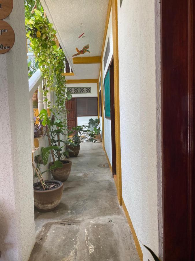 兹波利特 Adoquin酒店 外观 照片